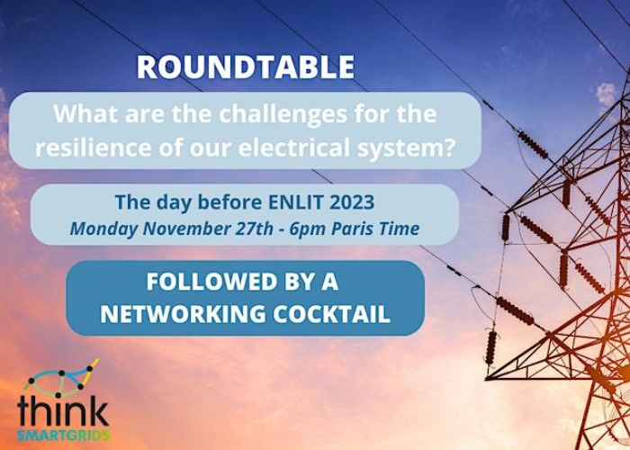 Round-Table : What are the challenges for the resilience of our electrical system?