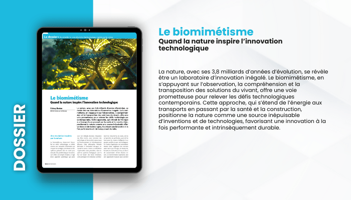 Lire la suite à propos de l’article DOSSIER – Le biomimétisme : quand la nature inspire  l’innovation technologique