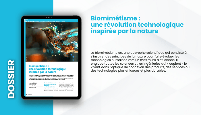 Lire la suite à propos de l’article DOSSIER – BIOMIMÉTISME