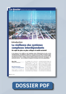 REE 2026-1 (Dossier PDF) - Résilience des systèmes complexes